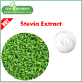 Reiner Bio-Stevia mit Rebaudiosid A 60% -99%